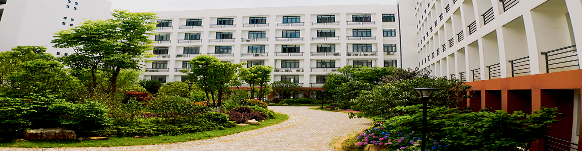 威廉希尔WilliamHill官方网站